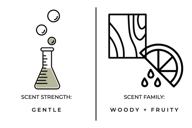 Stargazing Room / Linen Spray