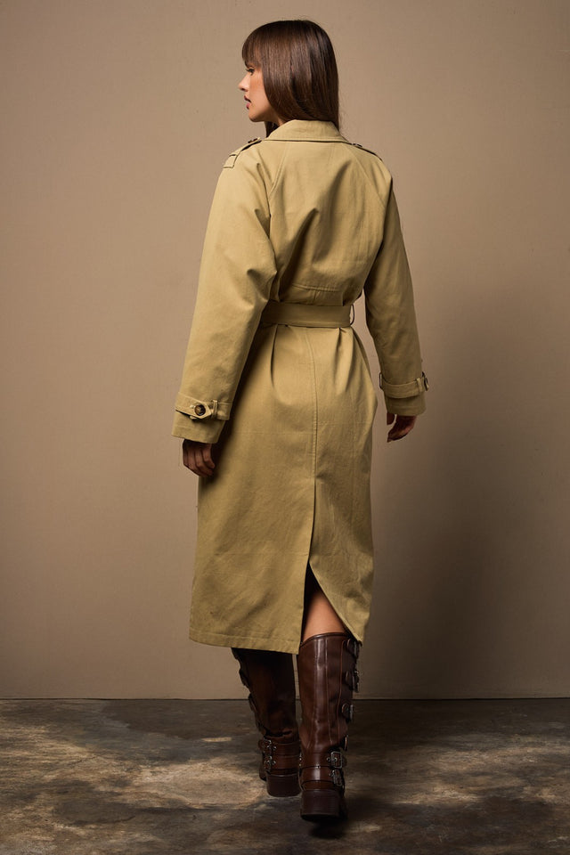 The Emilia Trench