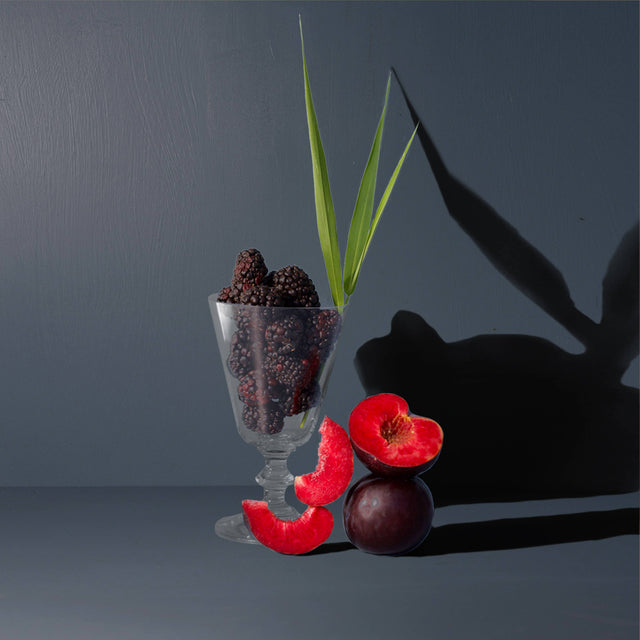 Stargazing Hand + Body Wash