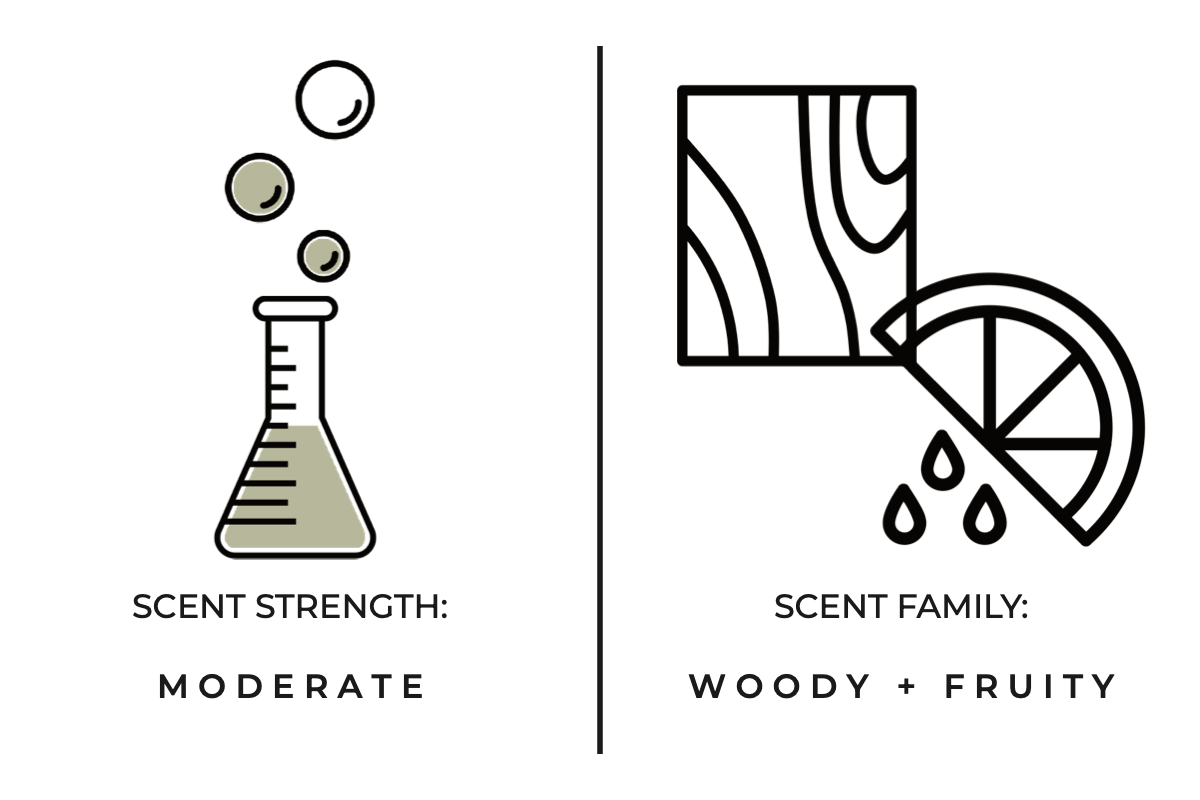 Stargazing Hand + Body Wash