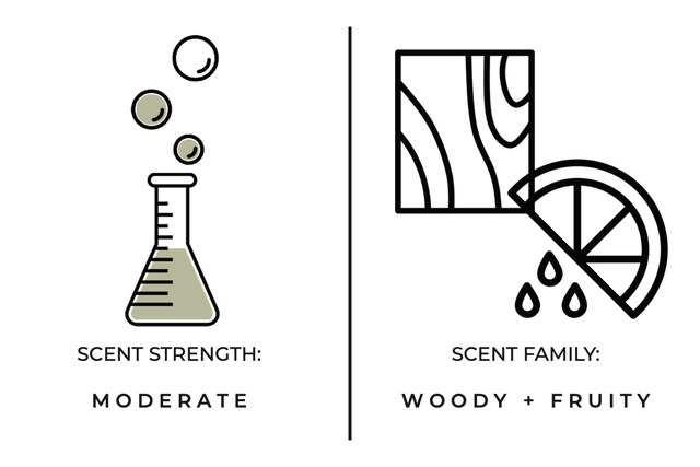 Stargazing Hand + Body Wash