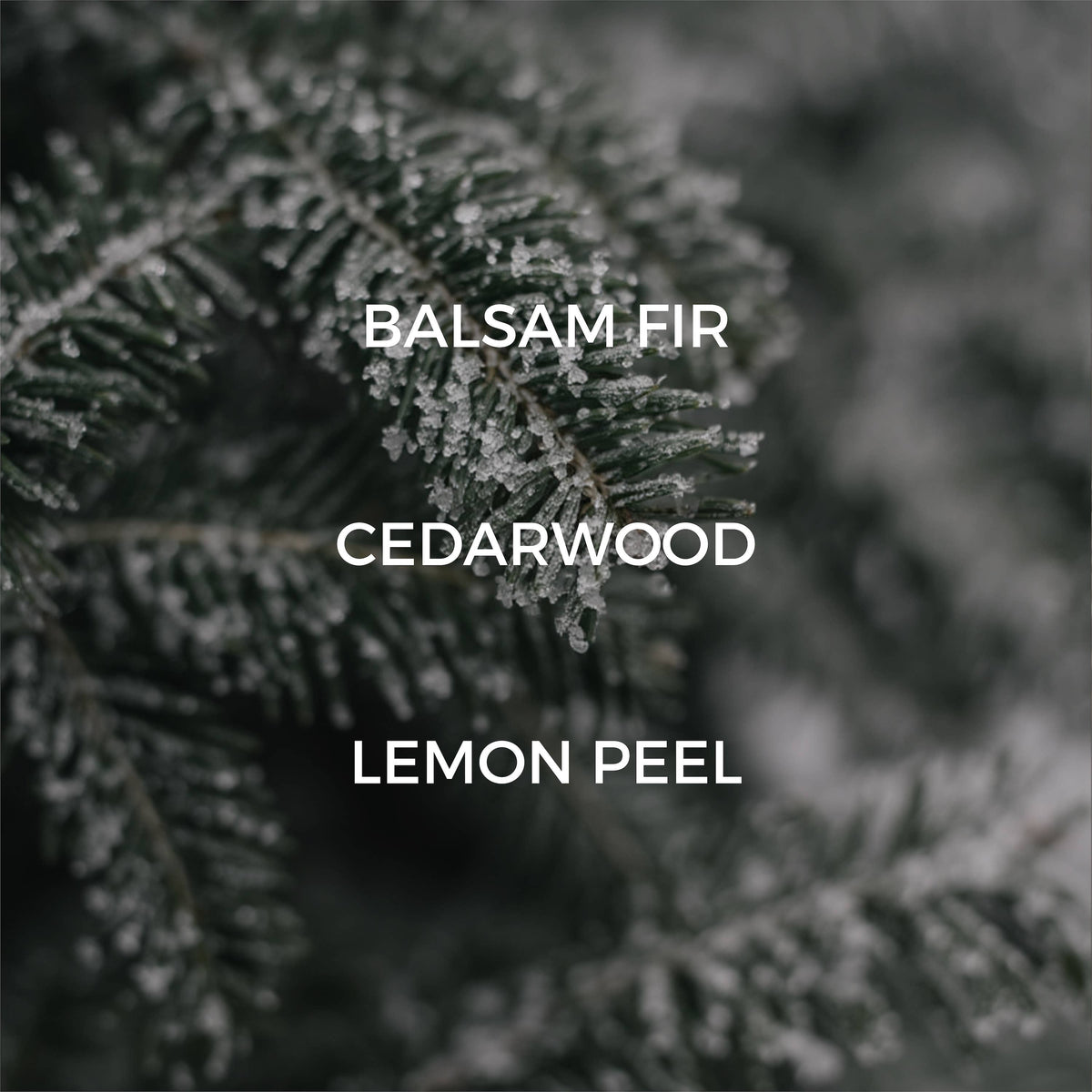 Fir Needle Reed Diffuser